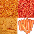 Dehydrated Freeze Dried Carrot Dice for Cooking Recipe